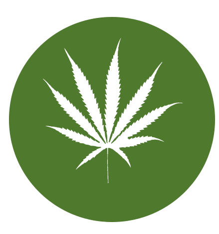 hoja-cannabis-sativa-c.png